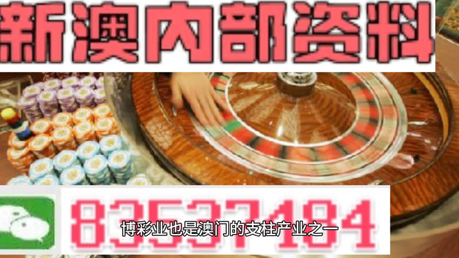 新澳门精准资料免费提供-精选解释解析落实